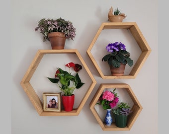 Honeycomb hexagonal floating shelves