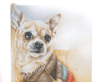 Benutzerdefinierte Pet Portrait - farbige Bleistiftzeichnung