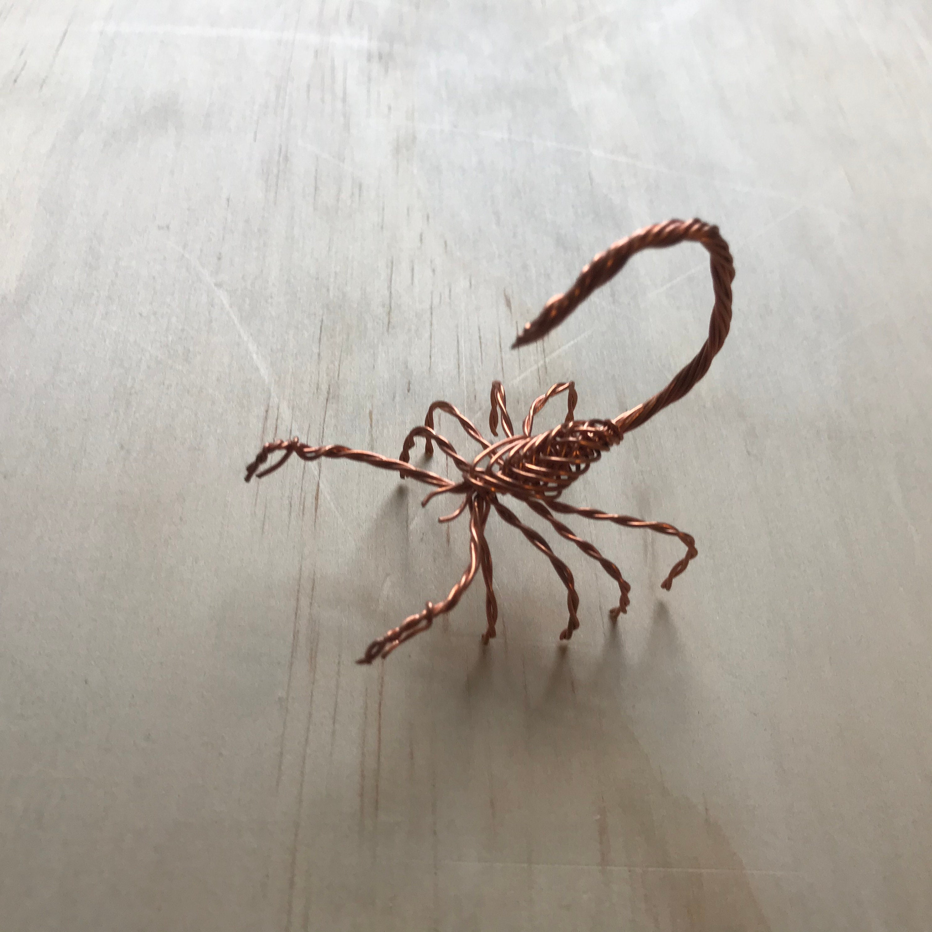 Copper Wire Scorpion Scuplture Twisted Wire Etsy