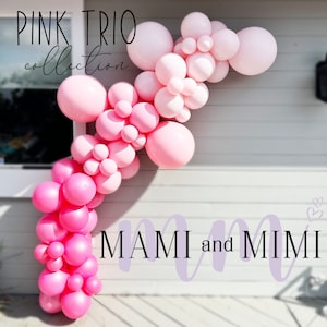 Blush Pink, Princess Pink and Hot Pink Balloon Garland Arch Kit, Bridal Shower, Baby Shower, First Birthday Balloon Decor Kits, Centerpiece