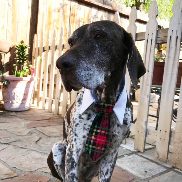 Christmas Dog Bow, Dog Tie, Shirt Collar | Christmas Dog Set | Holiday Gift Set for Dogs | Christmas Photo Props | Dog Collar Accessories