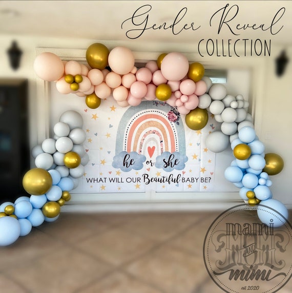 Pastel Pink and Blue Balloon Garland Arch DIY Kit for Baby Shower &  Birthday Decorations