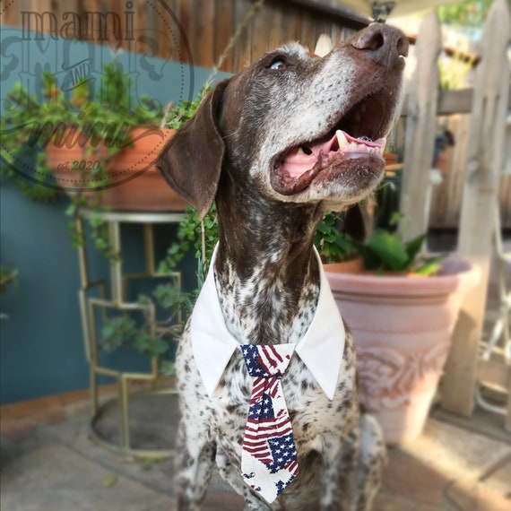 Cravate pour chien de drapeau des États-Unis, cravate pour chien
