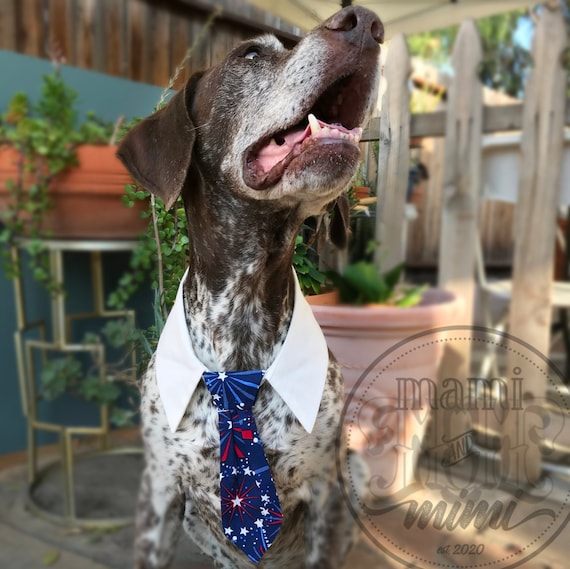 Corbata para perro y gato con fuegos artificiales del de julio
