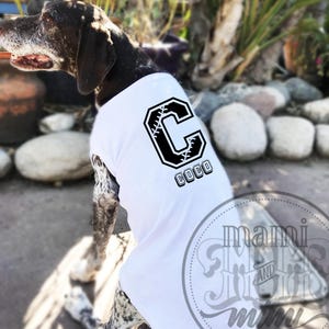 Personalized Baseball Dog Name Letter T Shirt | Baseball Sports Lover Personalized Dog Clothing w/ Dog Name | Custom name shirt for dogs
