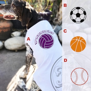 Personalized Sports Ball Dog Name T Shirt | Personalized Sports Dog Clothing w/ Dog Name or Team Name | Custom name shirt for dogs and cats.