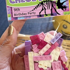 Personalized Dinosaur Jurassic Birthday Party favor for Boys and Girls | Dino Party Kit | Class Gift | Kids Birthday Party Gifts for guests