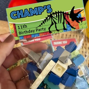 Personalized Dinosaur Jurassic Birthday Party favor for Boys and Girls | Dino Party Kit | Class Gift | Kids Birthday Party Gifts for guests