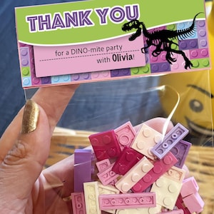 Girls Dinosaur Jurassic Birthday Party favor for Boys and Girls | Dino Party Kit | Class Gift | Kids Birthday Party Gifts for guests