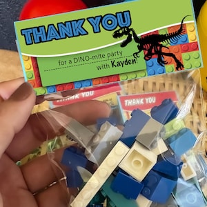 Personalized Dinosaur Jurassic Birthday Party favor for Boys and Girls | Dino Party Kit | Class Gift | Kids Birthday Party Gifts for guests