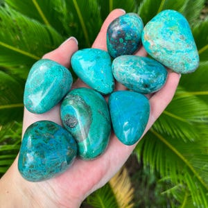 Chrysocolla Palm Stones | High Grade from Peru - You Choose