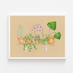 Plant Shelf of Colored Pencil Art Print