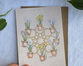 8 Point Star Daffodil Planter Greeting Card