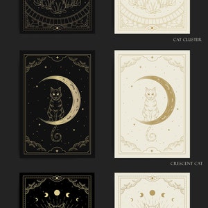 May include: Four black and white illustrations of cats with celestial elements. The first image shows a cluster of cats with a full moon and crescent moons. The second image shows a cat sitting on a crescent moon. The third image shows a cat with a full moon and crescent moons with a starburst behind it. The fourth image shows a cat with a full moon and crescent moons with a starburst behind it.