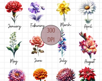 Flor de nacimiento PNG, Imágenes prediseñadas del mes de nacimiento, Imágenes prediseñadas de la flor de nacimiento, PNG del mes de nacimiento, Camisa de flores de nacimiento, Estampado de flores de nacimiento, Flor PNG