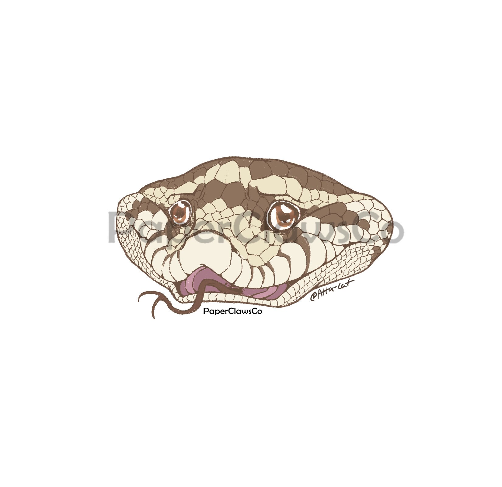 Hognose Snake Sticker Snake Sticker Reptile Sticker Etsy