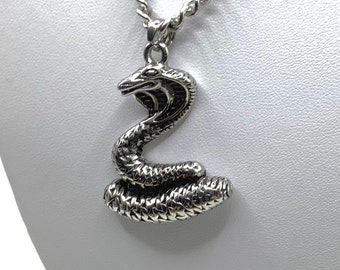 Stainless steel snake pendant with a stainless steel chain or black leather, choose length. Gift bag included.