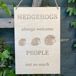 Pode incluir: Uma placa de madeira com o texto "Hedgehogs always welcome People not so much" e três ouriços de desenho animado. A placa está pendurada em uma corda.