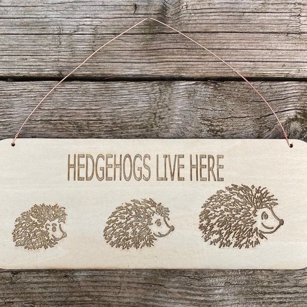 Hedgehog original art wooden sign, A Donation from every sale of this item will be made to Rachel’s hedgehog hotel Ryston Norfolk