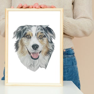 Australian Shepherd Photo Print from Drawing, Hand Drawn Custom Pet Portrait, Pet Dog Wall Art DIGITAL DOWNLOAD to print on Poster or Canvas
