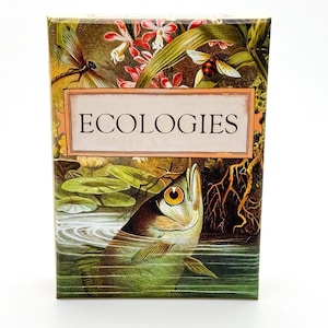 Ecologies Card Game - Gameplay Inspired by Nature - Use Science to Build Food Webs in Seven Unique Biomes - Beautiful Vintage Art