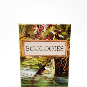Gioco di carte Ecologies - Gameplay ispirato alla natura - Usa la scienza per costruire reti alimentari in sette biomi unici - Splendida arte vintage