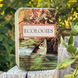 Ecologies Tin Durable Metal Travel Box for Card Games, Natural Treasures, Trinket Storage Featuring Beautiful Vintage Art image 5