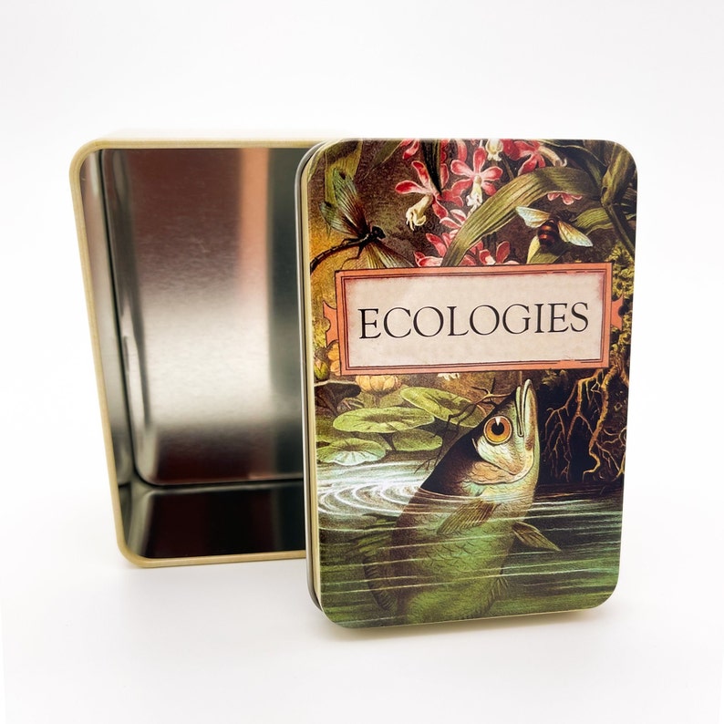 Ecologies Tin Durable Metal Travel Box for Card Games, Natural Treasures, Trinket Storage Featuring Beautiful Vintage Art image 2