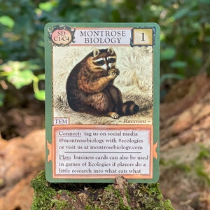 Ecologies : cartes de visite - cartes de visite inspirées de la nature - 54 cartes uniques qui peuvent être utilisées dans des jeux d'écologie - bel art vintage