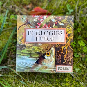 Ecologies Junior: Forest - Memory Game and Food Web Builder for Ages 4+ - Learn Trophic Levels and Forest Life with Beautiful Vintage Art