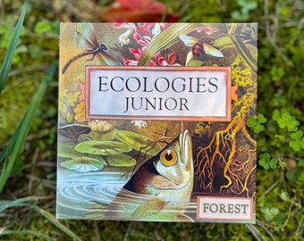 Ecologies Junior: Forest - Memory Game and Food Web Builder for Ages 4+ - Learn Trophic Levels and Forest Life with Beautiful Vintage Art