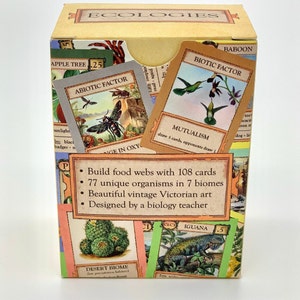 Ecologies Card Game Gameplay Inspired by Nature Use Science to Build Food Webs in Seven Unique Biomes Beautiful Vintage Art image 2