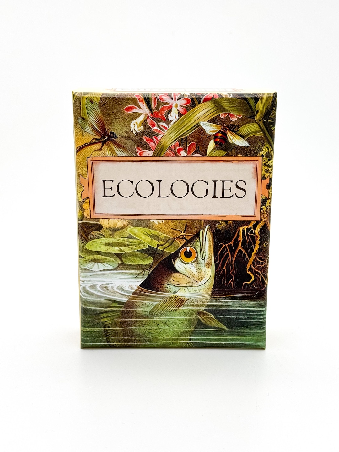 Ecologies Card Game Gameplay Inspired by Nature Use Science to