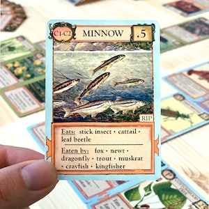 Ecologies: Bizarre Biomes Gameplay Inspired by Nature Sequel and Expansion to the Original Card Game Beautiful Vintage Scientific Art image 3