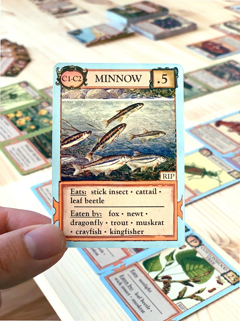 Ecologies: Bizarre Biomes Gameplay Inspired by Nature Sequel and Expansion to the Original Card Game Beautiful Vintage Scientific Art image 3