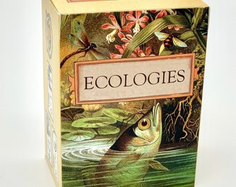 Gioco di carte Ecologies - Gameplay ispirato alla natura - Usa la scienza per costruire reti alimentari in sette biomi unici - Bellissima arte vintage