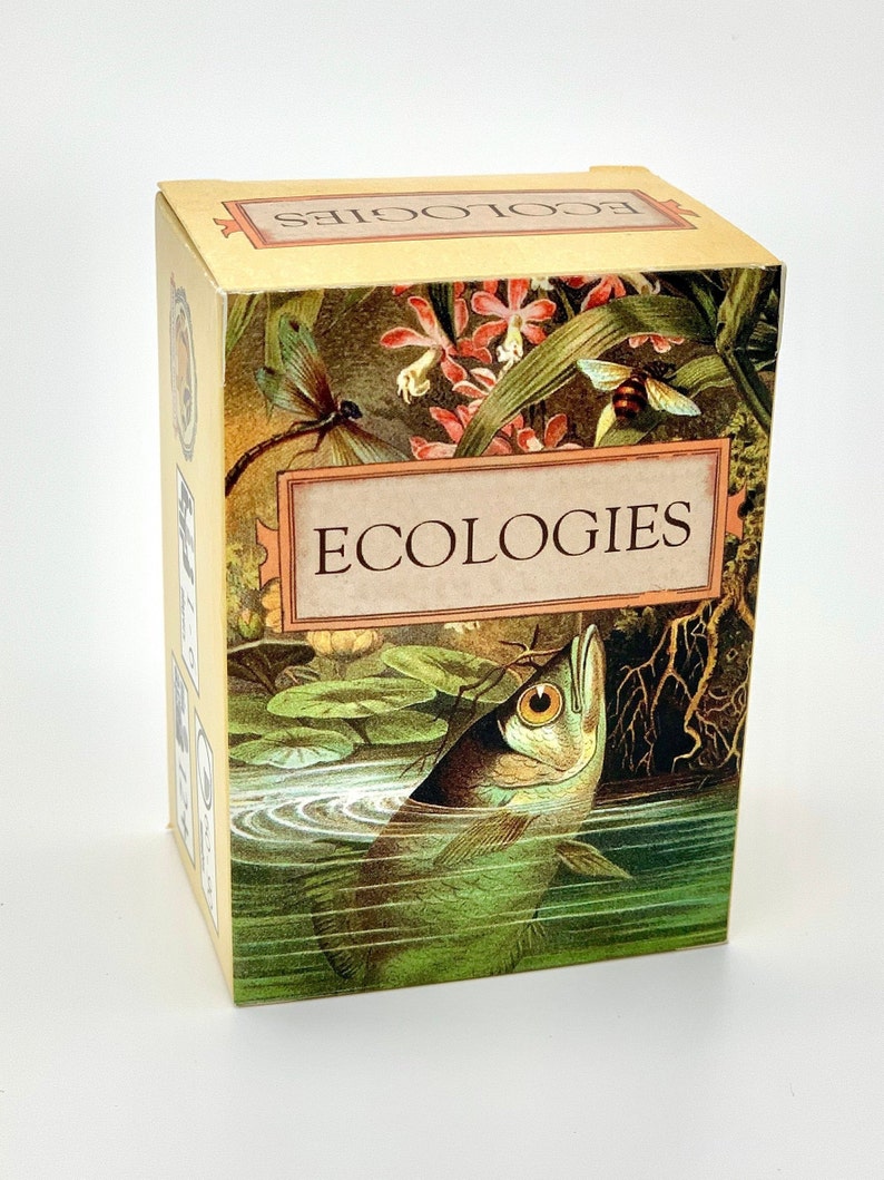 Ecologies Card Game Gameplay Inspired by Nature Use Science to Build Food Webs in Seven Unique Biomes Beautiful Vintage Art image 1