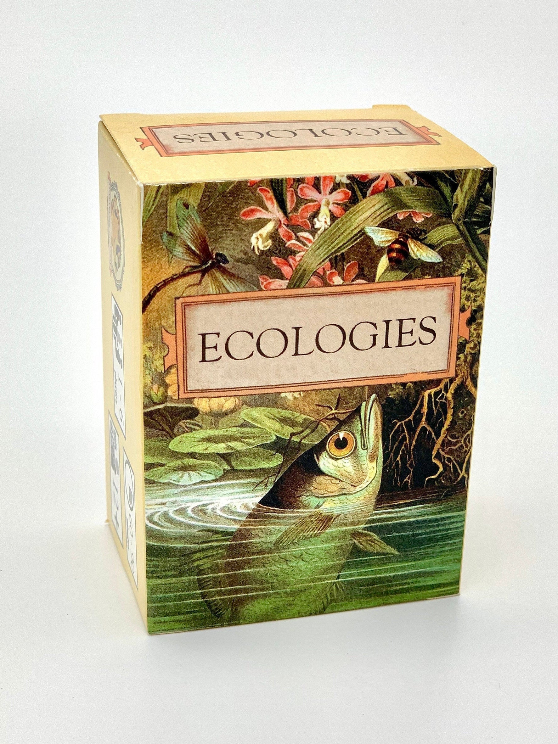 Ecologies Card Game Gameplay Inspired by Nature Use - Etsy