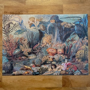 May include: A colorful underwater scene with coral, sea anemones, starfish, and other marine life. The scene is depicted in a vintage style with intricate details.