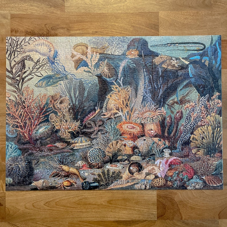 May include: A colorful underwater scene with coral, sea anemones, starfish, and other marine life. The scene is depicted in a vintage style with intricate details.