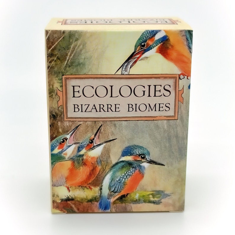 Ecologies: Bizarre Biomes Gameplay Inspired by Nature Sequel and Expansion to the Original Card Game Beautiful Vintage Scientific Art image 1