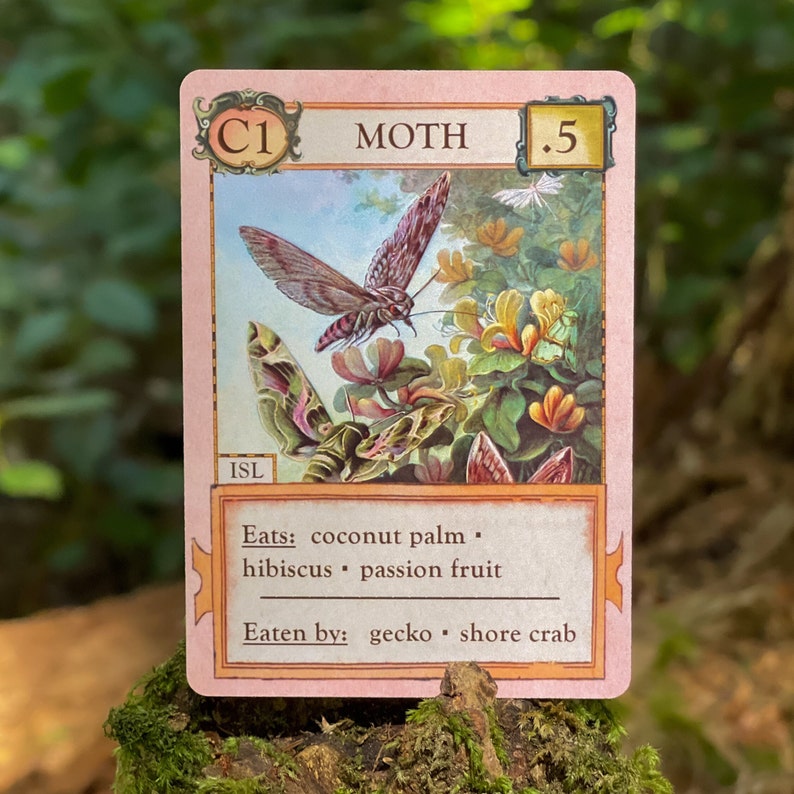 Ecologies: Hidden Habitats Gameplay Inspired by Nature Sequel and Expansion to the Original Card Game Beautiful Vintage Scientific Art image 3