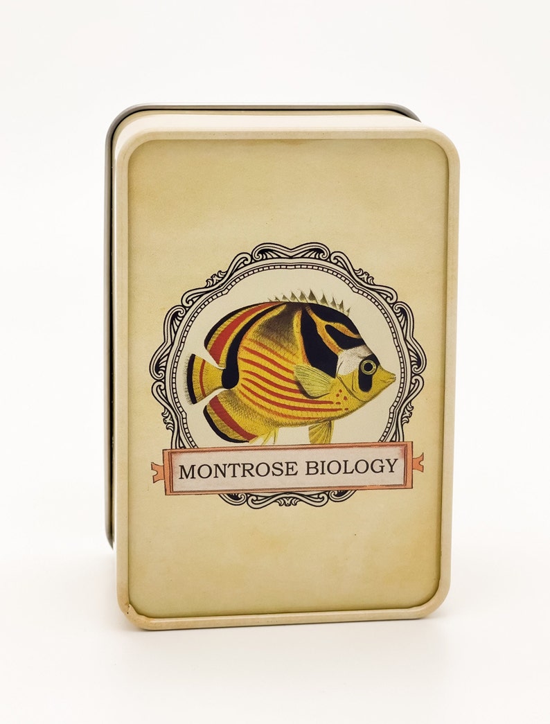 Ecologies Tin Durable Metal Travel Box for Card Games, Natural Treasures, Trinket Storage Featuring Beautiful Vintage Art image 4