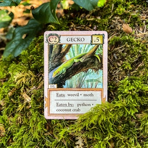 Ecologies: Hidden Habitats Gameplay Inspired by Nature Sequel and Expansion to the Original Card Game Beautiful Vintage Scientific Art image 7