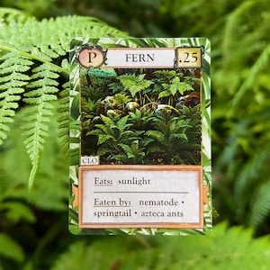 Ecologies: Hidden Habitats Gameplay Inspired by Nature Sequel and Expansion to the Original Card Game Beautiful Vintage Scientific Art image 5