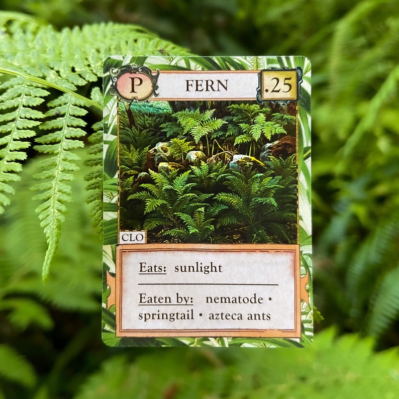 Ecologies: Hidden Habitats Gameplay Inspired by Nature Sequel and Expansion to the Original Card Game Beautiful Vintage Scientific Art image 5