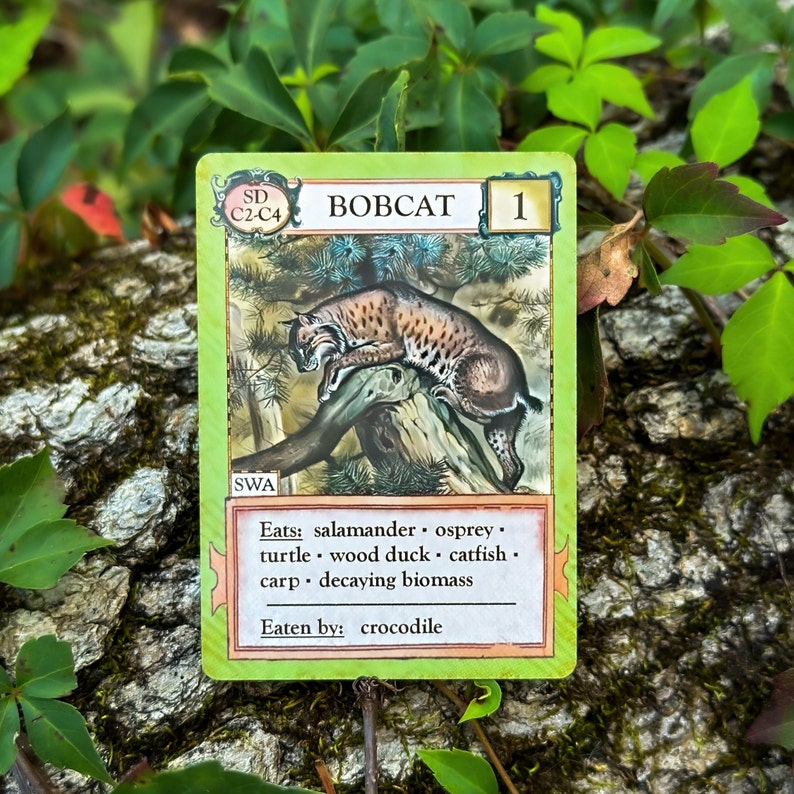 Ecologies: Bizarre Biomes Gameplay Inspired by Nature Sequel and Expansion to the Original Card Game Beautiful Vintage Scientific Art image 8