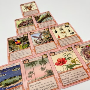 Ecologies: Hidden Habitats Gameplay Inspired by Nature Sequel and Expansion to the Original Card Game Beautiful Vintage Scientific Art image 9