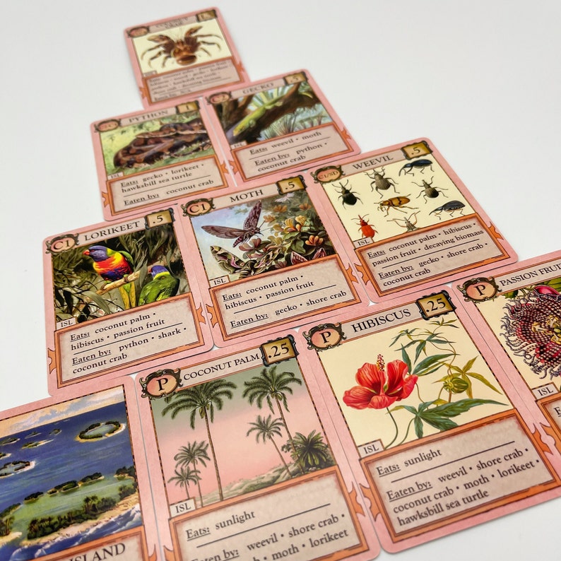 Ecologies: Hidden Habitats Gameplay Inspired by Nature Sequel and Expansion to the Original Card Game Beautiful Vintage Scientific Art image 9