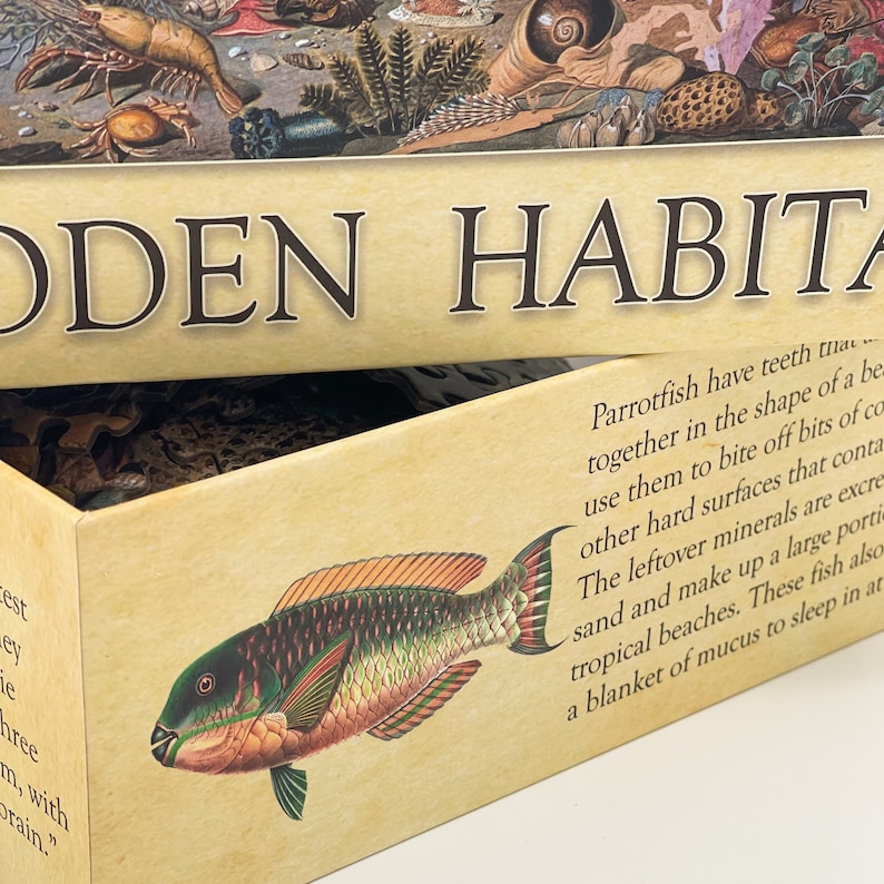 May include: A close-up of a box with the words "Hidden Habitats" on the top. The box is open and shows a colorful illustration of a parrotfish with the text "Parrotfish have teeth that grow together in the shape of a beak. They use them to bite off bits of coral and other hard surfaces that contain minerals. The leftover minerals are excreted as sand and make up a large portion of tropical beaches. These fish also secrete a blanket of mucus to sleep in at night."